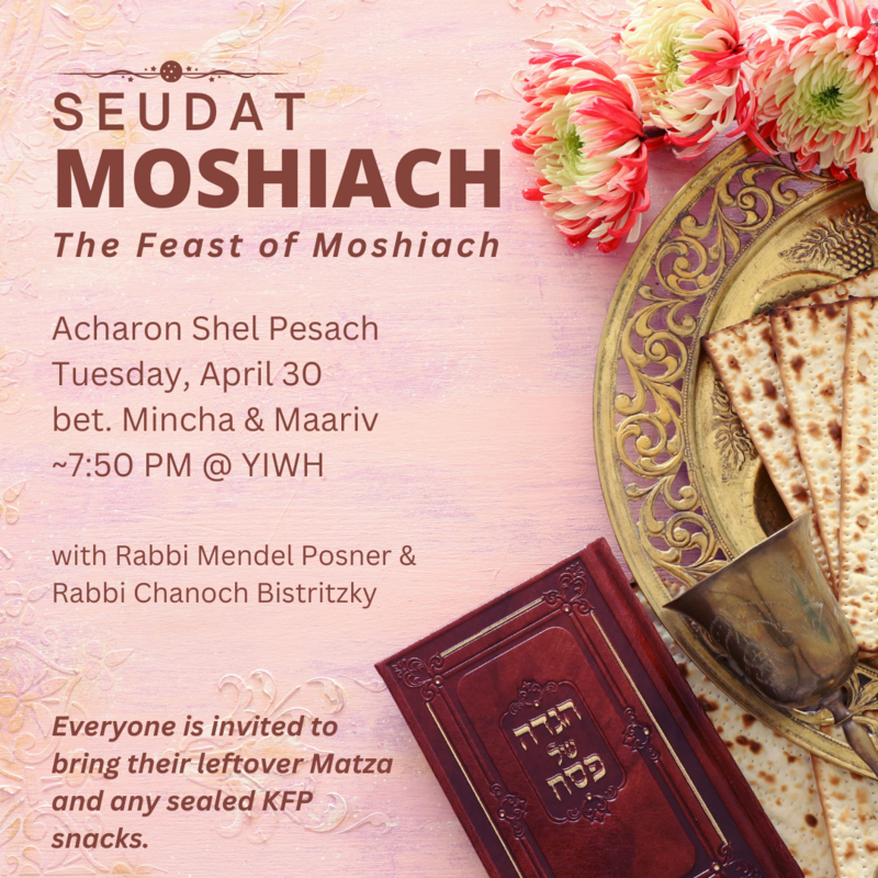 Banner Image for Seudat Moshiach