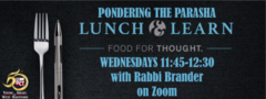 Banner Image for Pondering the Parasha Lunch & Learn