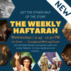 Banner Image for The Weekly Haftarah